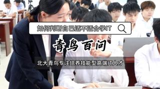 青鳥百問：如何判斷自己適不適合學IT